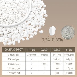 5.5 LB White Gravel Pebbles for Indoor Plants,6-9mm Decorative Rocks for Succulent and Cactus Natural Polished Pebbles for Vases, Hydroponics, Bonsai, Fish Tank, Aquarium