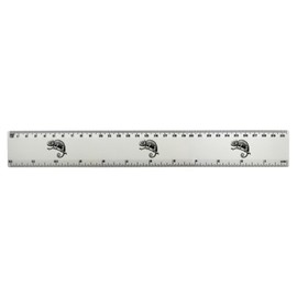 'Chameleon on Branch' 30cm (12 Inch) White Plastic Ruler (RL00086794)