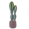 35” Tall Artificial Column Cactus in a Woven Looking Pot