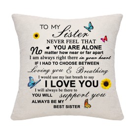 Sister Gifts from Sister Brother Sister Throw Pillow Cover Pillowcase Cushion Cover Cushion Case Birthday Gifts (Sister)