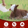 Calf Bottle 2.6 Quart Horizontal Calf Milk Feeding Bottle with
