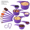 Smithcraft Plastic Measuring Cups and Spoons Set 15, Purple Dry