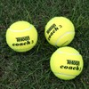 Teloon Tennis Balls (Yellow-18pcs)