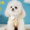 Floral Lace Dog Dress with Collar Summer Pet Dress for