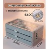 JUELWRY Acrylic Rock Collection Box - Display Storage Rock, Jewelry