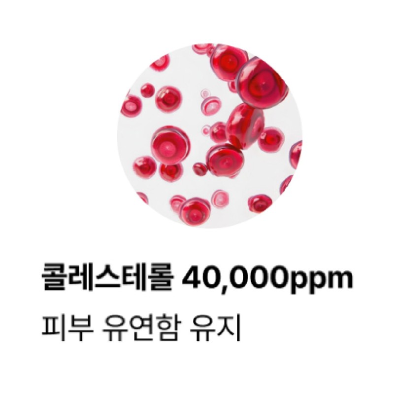 장벽 진정 보습 크림 PDRN 세라마이드 판테놀 엑소리쥬 세라콜지 242,