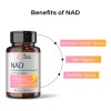Nad Nicotinamida Adenina Antienvejecimiento Celular 500mg 30