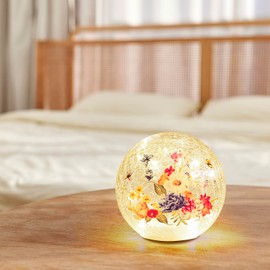 BERSCAH Glass Ball Light Crackle LED Night Light Flowers Pattern Globe Glass Table Lamp, Orb Cardinal Night Light for Outdoor Decorations Pathway Patio Yard Lawn Bedroom - 1 Pack