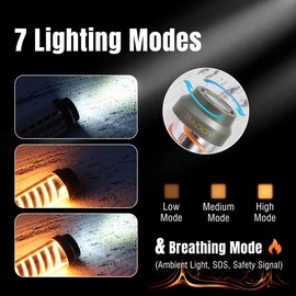 Raddy CL-1 Camping Lantern, Portable Rechargeable Camping Flashlight with 7 Light Modes, IPX6 Waterproof, with Carabiner and Stand, for Hiking, Camping, Fishing, Emergency, Power Outage - Number of Items: 1 Pack