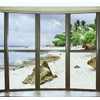Anti Collision Window Bird Stickers Cling Save Birds and Glass