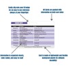 Cardiac Drips Reference Horizontal Badge Card - Excellent Resource for