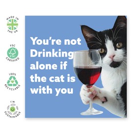 Central 23 Cat Birthday Cards For Women - Cat Is With You Wine - Humorous Birthday Card For Her - Friends Birthday Card - For Cat Mum Fur Parent Cat Lady - Comes With Stickers