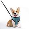 Ankilo Upgraded Harness with Leash Set, Escape Proof Dog Vest