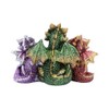 Nemesis Now U5026R0 Tales of Fire Reading Book Dragon Figurine,