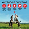 Drools Non-Toxic Rubber Dog Toy Hole Ball - 7.6cm (Medium)