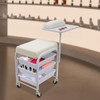 Movable Spa Portable Cart, Beauty Salon Nail Cart with Three