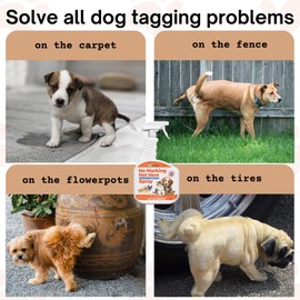 Qucship 32 Oz Spray Solution to Train Dogs to Defecate at a Fixed Point and Prevent Pets from Urinating Everywhere