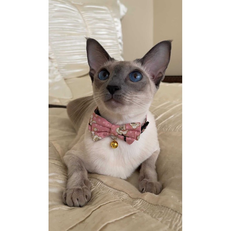 Hanami Bow Tie Cat Collar (Pastel Pink)