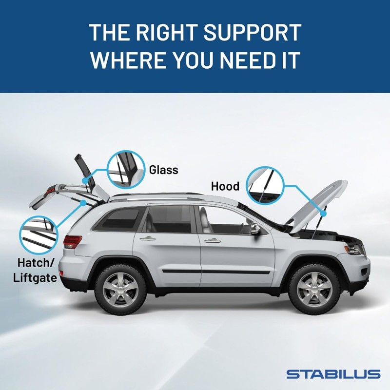 Qty (2) Stabilus 3B-187894 Fits Odyssey 2011 To 2017 Liftgate