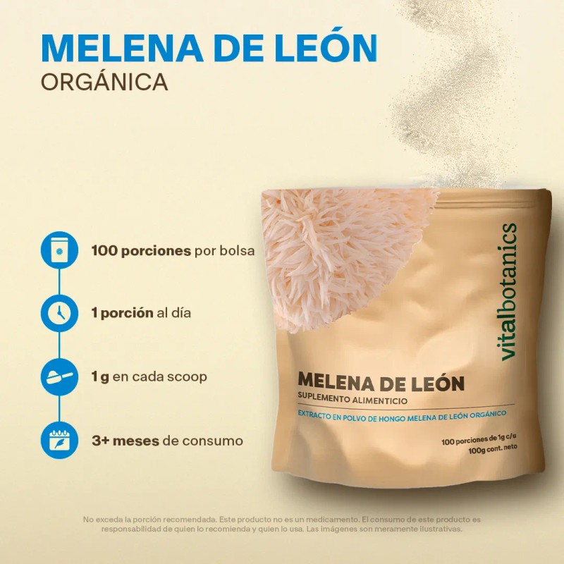 Extracto Hongo Melena De León Orgánico Polvo 100g Adaptogeno Sabor