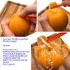 DaylyFav Orange Peelers Cirtus Peels Remover Tool, Citrus Peeler for
