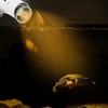 CN Reptile Sun Light UVA UVB Lamp Clip Lights for