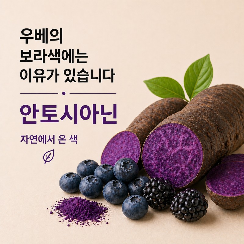 우베파우더 100% 천연 필리핀산 무첨가 우베가루 라떼 베이킹용 100% Natural
