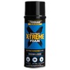 Titebond X-TREME Window & Door Foam 12 Oz. – High-Yield