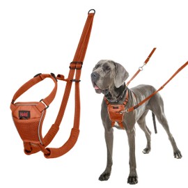 HALTI No Pull Harness - To Stop Your Dog Pulling on the Leash. Adjustable, Lightweight and Easy to Use. Reflective Dog Training Harness for Large Dogs (Size L, Burnt Orange)
