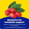 Enzymedica, Berberine 800 mg, For Metabolic support, 60 Capsules