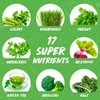 Applied Nutrition Critical Greens Bundle - Super Greens Powder, Boost