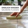 Klangfeiler® 2 Wooden Scrubbing Brushes, Hard and Very Hard, Made