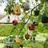 Point-Virgule Nesting Box for Birds, Bird House for Hanging, Acorns,