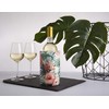Vacu Vin 38829616 Wine Cooler, Plastic, Botany