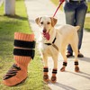 TZL Calcetines Antideslizantes para Perros con Doble Agarre para Suelos