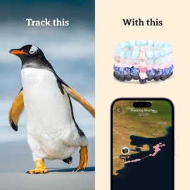 Fahlo Penguin Tracking Bracelet, Elastic, supports Global Penguin Society, one size fits most for Men and Women (Seafoam)