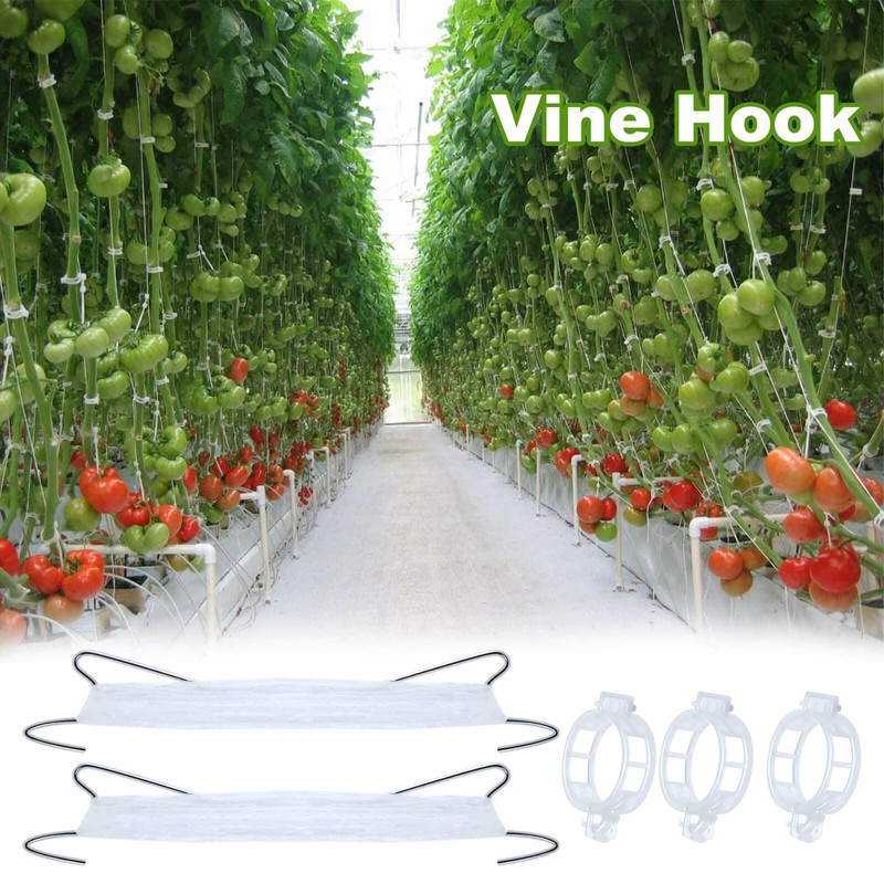 80Pcs Tomato Hooks with String, Tomato Support Hooks, Tomato Holder