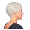 Hairdo Wispy Bang Pixie Cut Wig - Light Grey