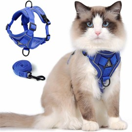 Cat Harness and Leash Set, Upgraded Escape Proof Adjustable Vest with Lead for Kitten Puppy Outdoor Walking, Soft Breathable Mesh Jacket with Reflective Strips for Dark Night (M, Klein Blue)