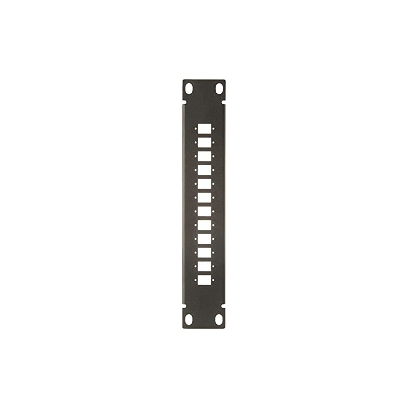 Delock 10 Inch Fibre Optic Patch Panel 12 Port for
