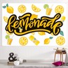 Lemonade Backdrop Banner Decor White – Lemon Party Theme Decorations