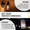 HUDSON BULB CO. Vintage LED Edison Light Bulbs, 60W Equivalent,