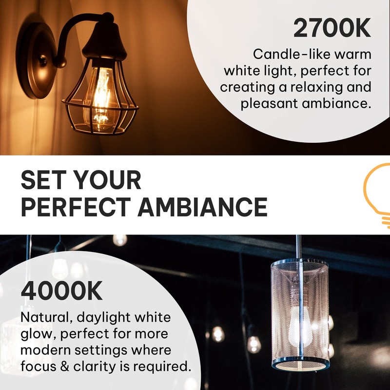HUDSON BULB CO. Vintage LED Edison Light Bulbs, 60W Equivalent,