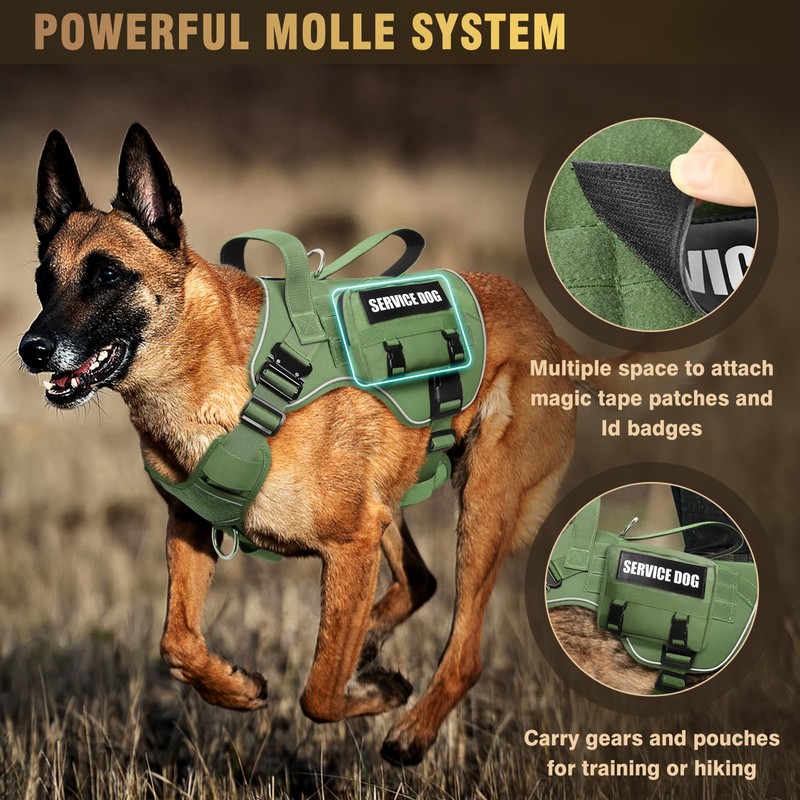 WINSEE Tactical Dog Harness for Large Dog, Heavy Duty Service