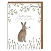 Hare Birthday Card - 'Another Year, Another Grey Hare' -