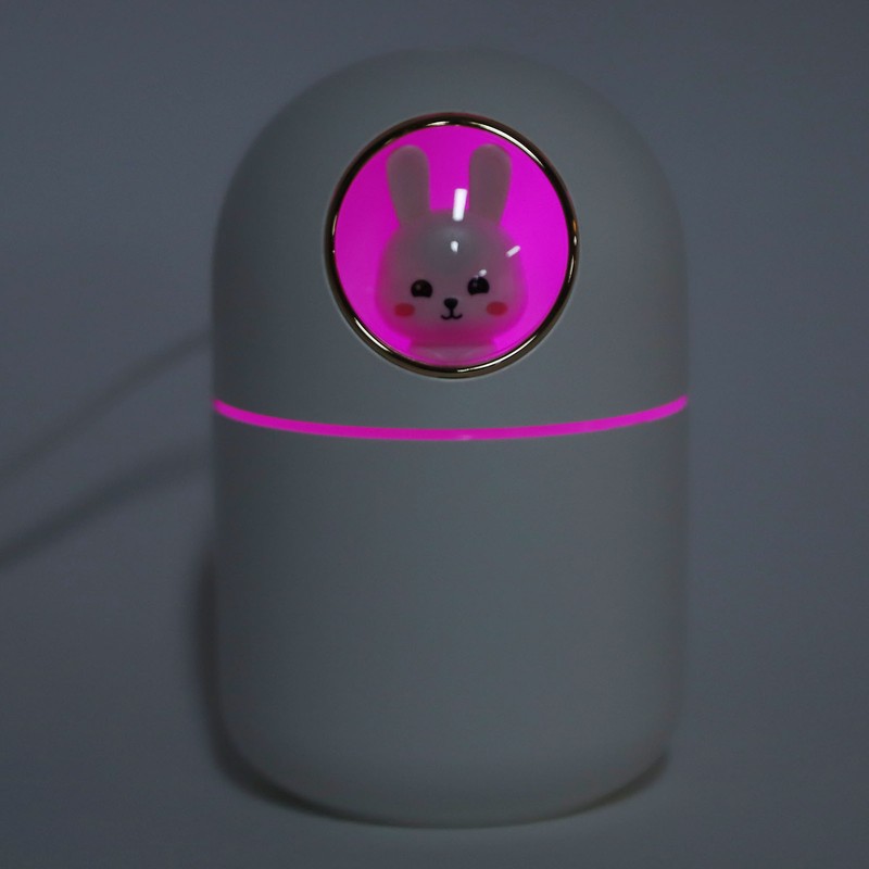 Humidifier Aroma Diffuser USB Power Supply 300ml Capacity Auto Shutdown