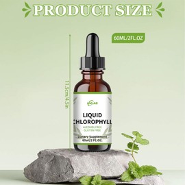 Chlorophyll Drops - Natural Chlorophyll Extract, Vegan, No Additives, Suitable for Men and Women - 60 ml