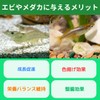 Ohisamedaka Aquarium Fish Chlorella Tablet, Goldfish, Bait, Preco, Beeshrimp (0.9