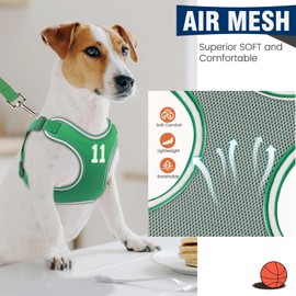 Dog Harness and Leash Set, Adjustable Step in Pet Vest Harness Soft Easy Walk, No Chock Puppy French Bulldog Harness for Small Medium Dogs