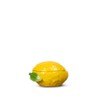 ByOn Lemon 5228624410 - Ciotola con coperchio a forma di